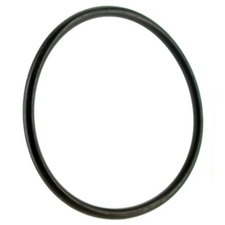 Lid O-Ring for Forza Aboveground Pump